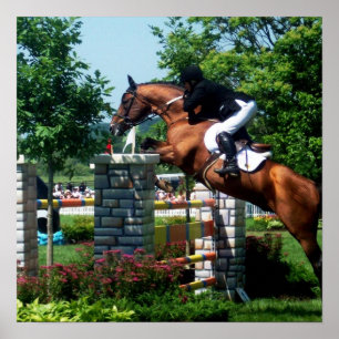 Poster grande do cavalo de Prix