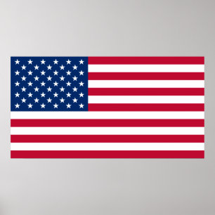 Poster grande dos EUA E.U. da bandeira dos Estados