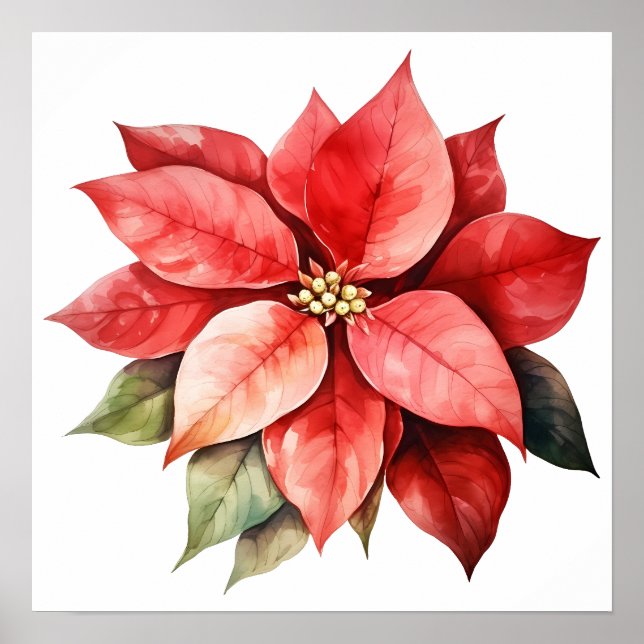 Poster Grande Flor de Natal Vermelho (Frente)