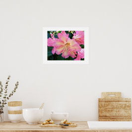 Poster Grande Flor de Rhododendron Rosa Fotografia Floral