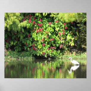 Poster Grande Garça Pescando - Paisagem Bonita