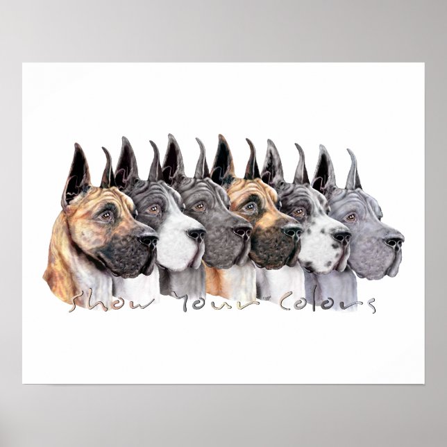 Póster Grande Grupo de Cores de Apresentação de Dane (Frente)
