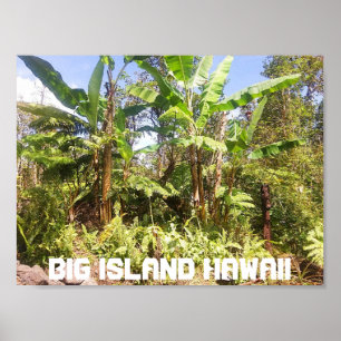 POSTER GRANDE ILHA HAWAII BANANA
