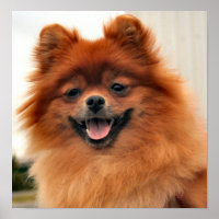 Grande Sorriso