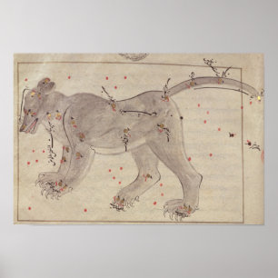 Póster Grande urso, do livro das estrelas após o EL