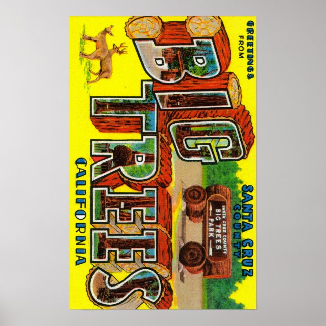 Poster Grandes Árvores, Califórnia - Cenas com Letras Gra (Frente)