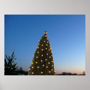 Póster Grandes e Pequenas Árvores de Natal I Holiday Suns