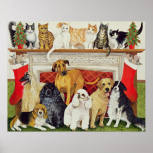 Poster Grandes esperanças