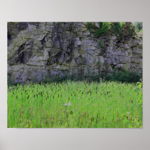 Poster Granite Quarry Rock Cliff Wall Cattails Nature