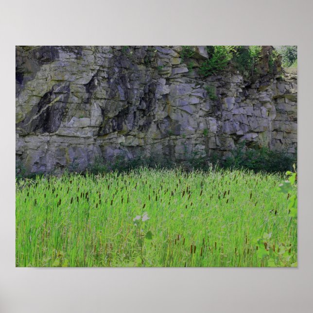 Poster Granite Quarry Rock Cliff Wall Cattails Nature (Frente)