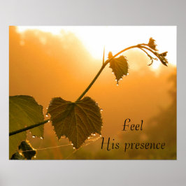 Póster Grapevine e Dewdrops no Sunrise-Inspiracional