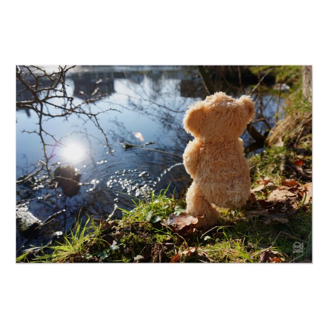 Póster Grappige beer die ondeugend plast. (Frente)