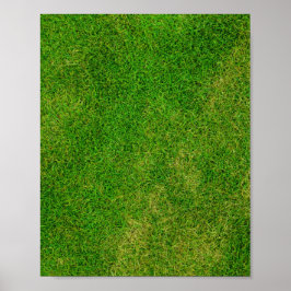 Poster Grass Lawn