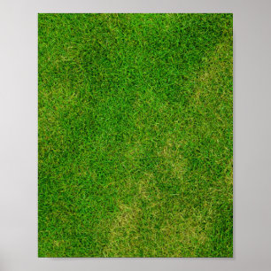 Poster Grass Lawn