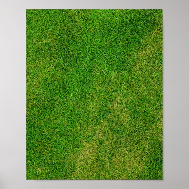 Poster Grass Lawn (Frente)