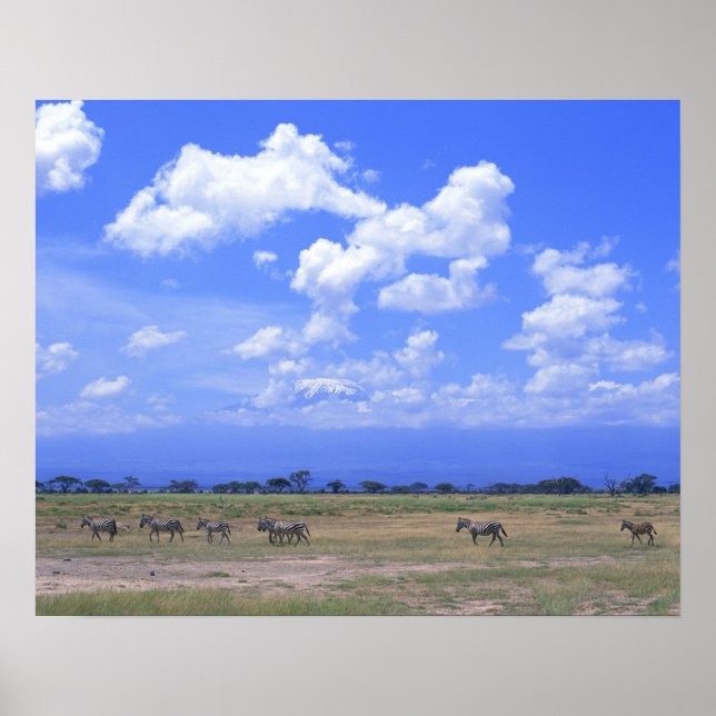 Poster Grassy Plain (Frente)