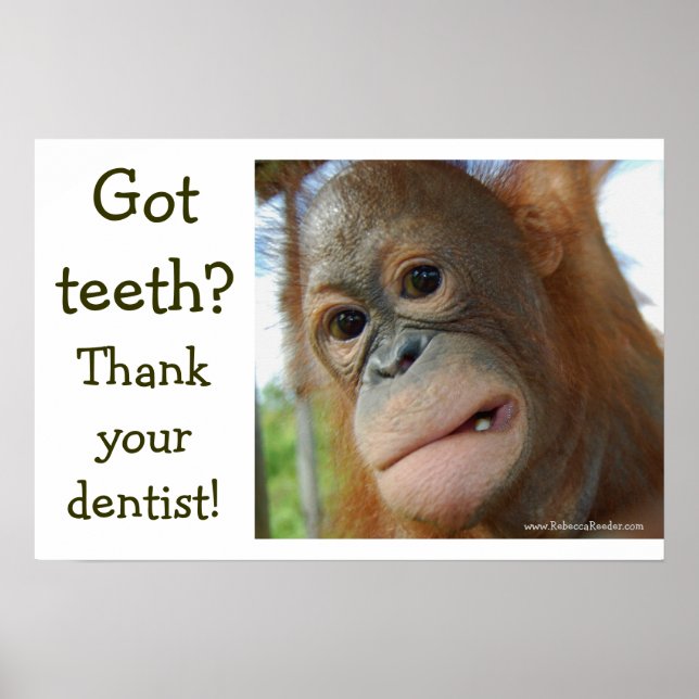 Poster Gratidão Engraçado dos Dentes (Frente)