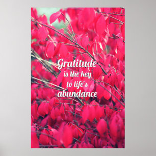 Póster Gratitude