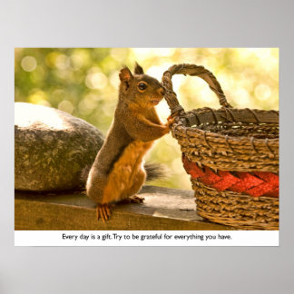 Poster Gratitude Squirrel
