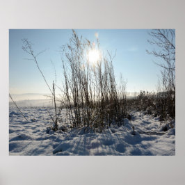 Poster Graus de inverno -