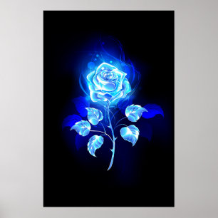 Poster Gravação de Rosa Azul