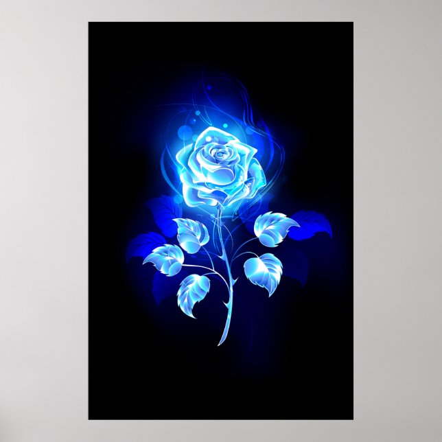 Poster Gravação de Rosa Azul (Frente)