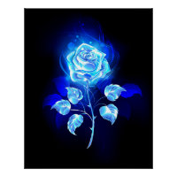 Gravação de Rosa Azul