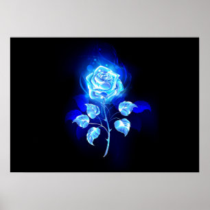 Poster Gravação de Rosa Azul