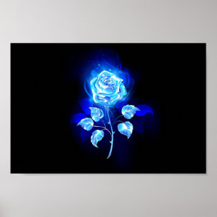 Poster Gravação de Rosa Azul