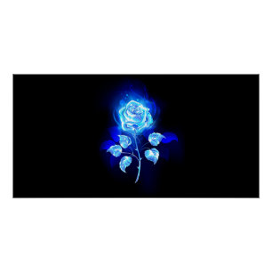 Póster Gravação de Rosa Azul