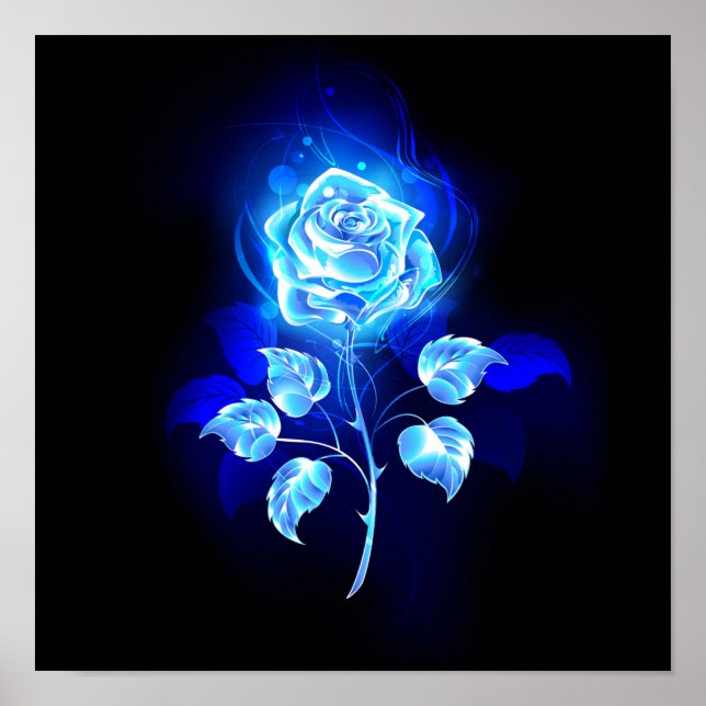 Poster Gravação de Rosa Azul (Frente)