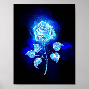 Poster Gravação de Rosa Azul