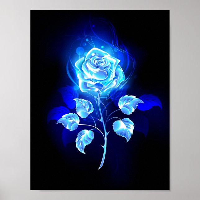 Poster Gravação de Rosa Azul (Frente)