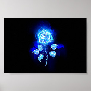 Poster Gravação de Rosa Azul