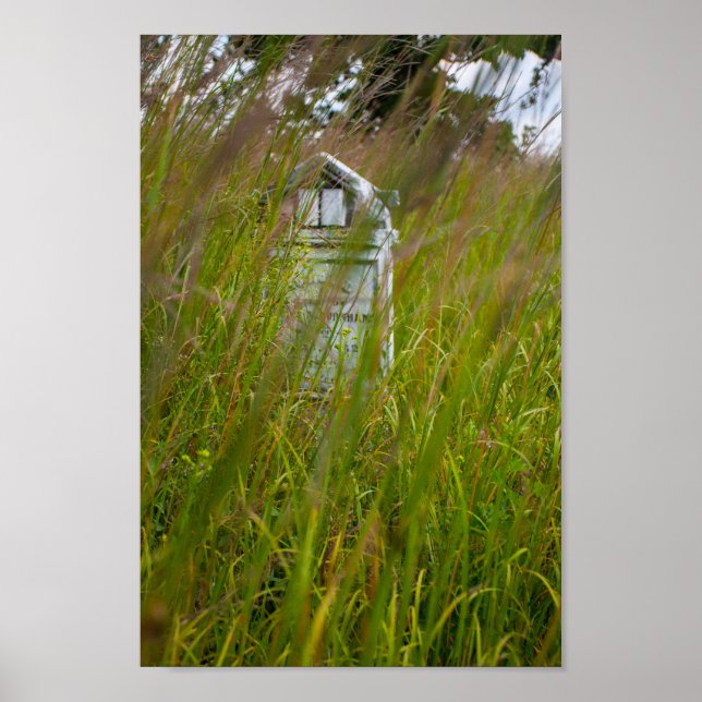 Poster Grave, Smith Cemetery State Nature Preserve, Ohio (Frente)