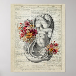 Poster Gravidez OB/GYN Wall Art