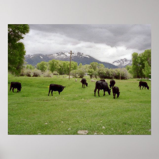 Póster Grazing Cattle v2 (Frente)