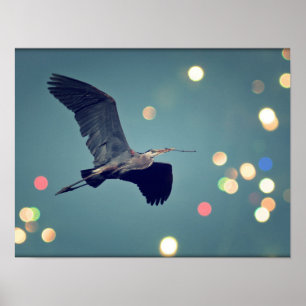 Poster Great Blue Heron In Flight