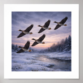 Poster Greater White-fronted Geese in Winter – 