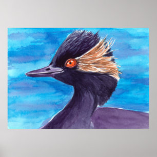 Poster Grebe