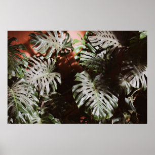 POSTER GREEN BUSH PLANANT