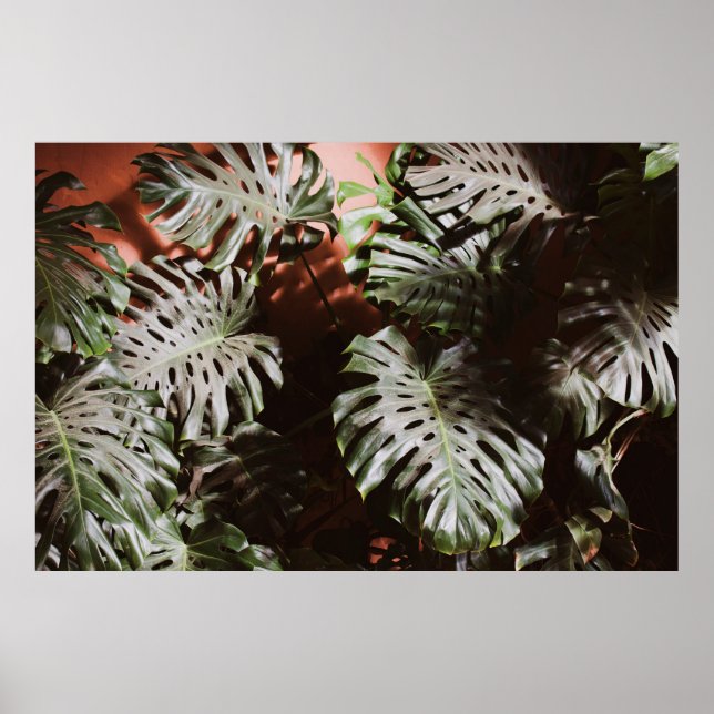 POSTER GREEN BUSH PLANANT (Frente)