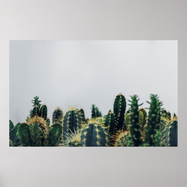 POSTER GREEN CACTI (Frente)
