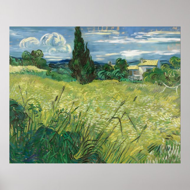 Poster Green Field Vincent van Gogh (Frente)
