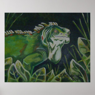 Poster Green Iguana