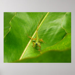 Póster Green Lizard on Green Leaf