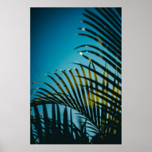 Poster Green palm plant under blue sky in the morning
