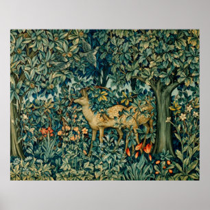 POSTER GREENERAÇÃO, ANIMAIS FLORESTAIS, DOIS, AVES FLOR