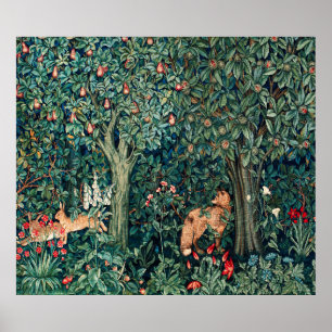 Poster GREENERAÇÃO,ANIMAIS FLORESTAIS Magras,Raposa,Flo