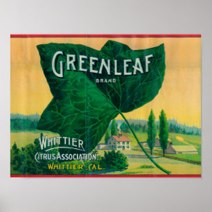 Poster Greenleaf Lemon LabelWhittier, CA